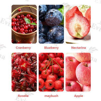 Chá Yoni Detox 100% natural e de alta potência com Cranberry 24 meses de vida útil